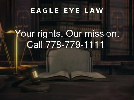 The Law Office of Seth Eric Springer, Esq.