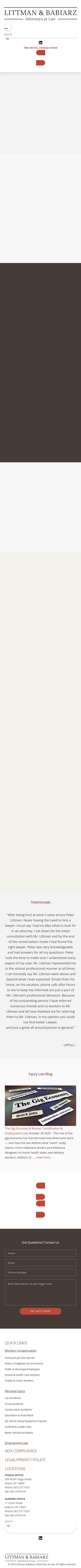 Littman & Babiarz, Attorneys at Law - Ithaca NY Lawyers