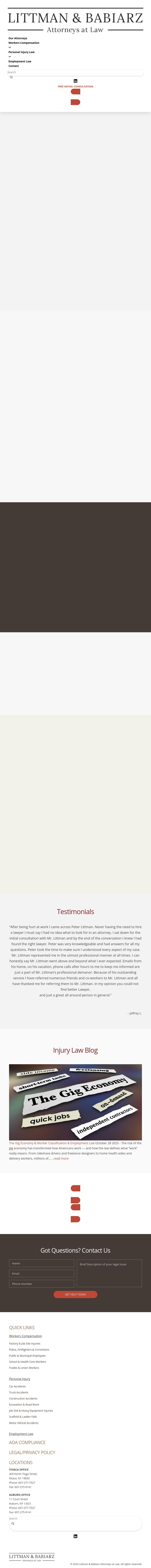 Littman & Babiarz, Attorneys at Law - Ithaca NY Lawyers